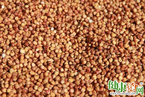 高粱貌不惊人 营养却出人意料